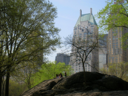 park and building