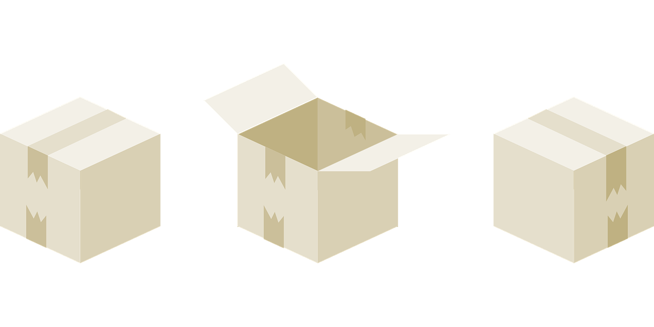 Plastic bins vs cardboard boxes which is better for moving? Divine