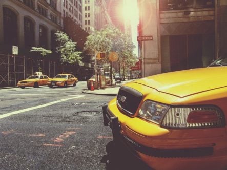 surviving NYC traffic is difficult