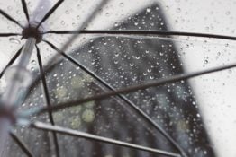A plastic umbrella