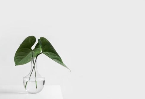 How to keep your home clean while relocating