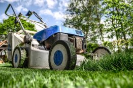 store gardening tools to make gardening easier.