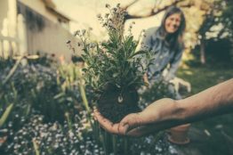 working in the garden