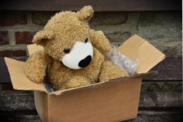 bear inside the box