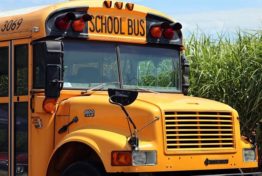 a school bus