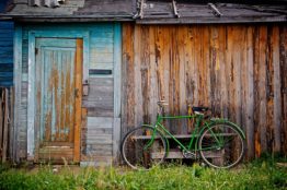 a shed in your backyard