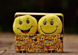 box where you will store your kids' toys