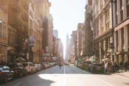 Top NYC neighborhoods for vegetarians have brown buildings