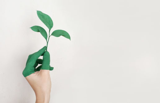 a had holding a plant is a representation on how to move sustainably