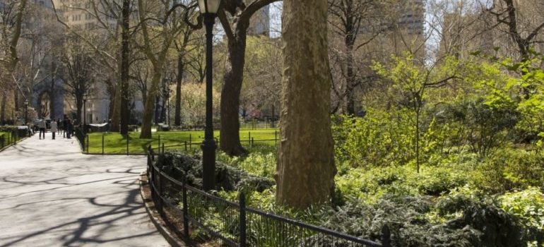 Central park