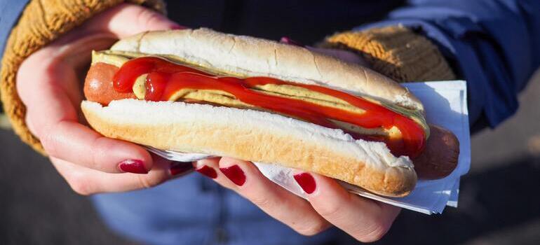 person holding a hot dog