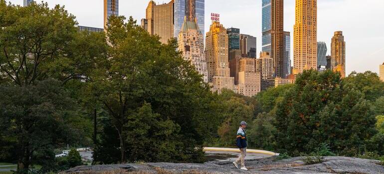 Moving from Queens to Manhattan to walk in the Central Park