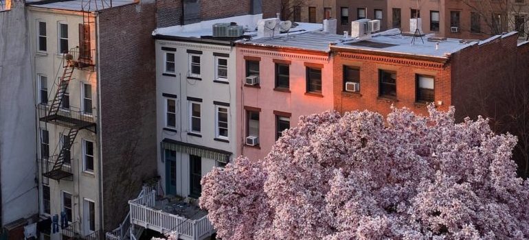an aerial look on buildings and a tree in blossom