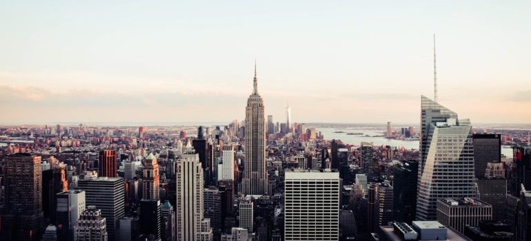 New York City Landscape 
