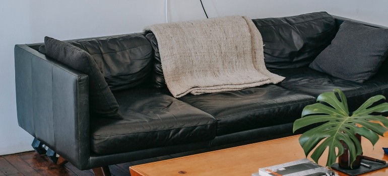 dark green leather sofa